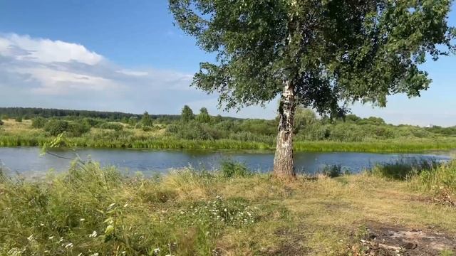 Заповедник Лохин Остров смотреть онлайн