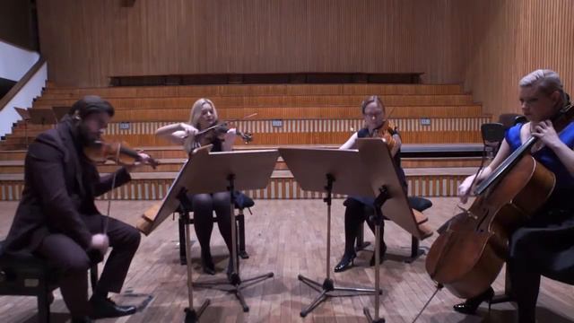 Adele - Set Fire To The Rain String Quartet Cover