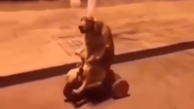 новая часть пилы смотреть онлайн