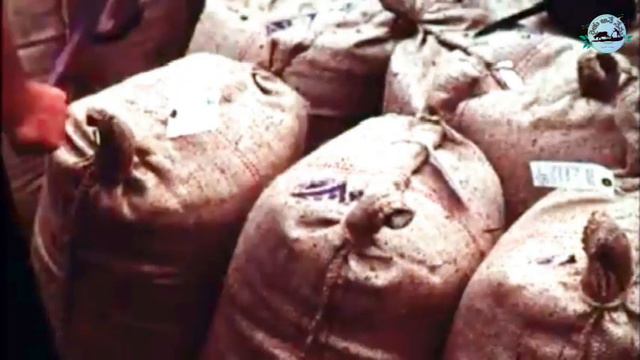 japanese farmers: జపాన్ లో వ్యవసాయం.. అక్కడి రైతుల జీవితాలను గురించి తెలుసుకొండి.. #agriculture смотреть онлайн