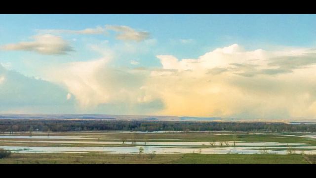 "Девичья печаль" смотреть онлайн