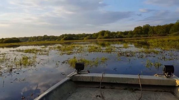 Болотоходы MAX Motor