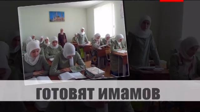 Дагестанский Исламский Университет смотреть онлайн