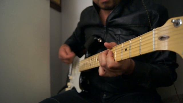 Fender American Standard Stratocaster - Welcome to the jungle! смотреть онлайн