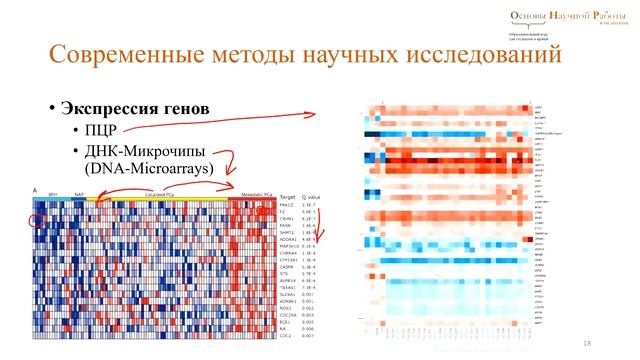 Часть 1. Основы научной работы в медицине. Вступительная лекция. смотреть онлайн