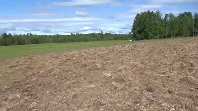 Скромный коп.  2023 г.