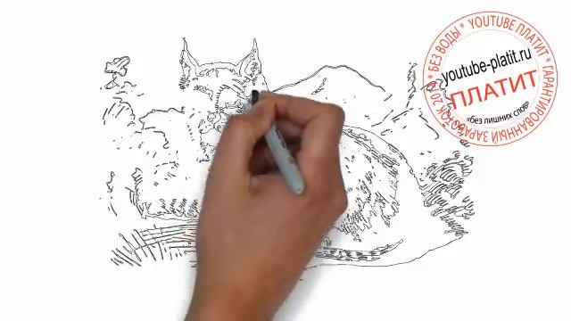 Как нарисовать пятнистую рысь смотреть онлайн