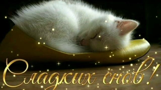 .Спокойной ночи и приятных снов! смотреть онлайн