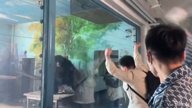 Impossible You Laugh You Lose With These FUNNIEST Animals???
#animals #funnyanimals #animals