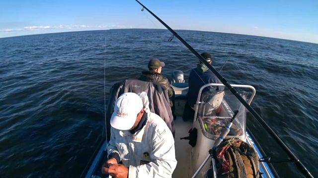 Рыбалка Троллингом и Колебалка на Рыбинском водохранилище дали МНОГО рыбы 2020. смотреть онлайн