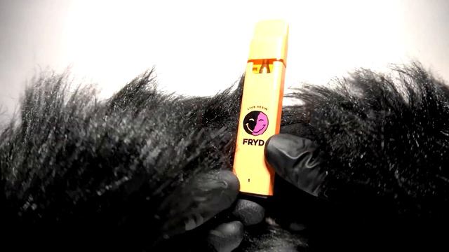 FRYD Purple Pop Rocks Disposable Vape Review with Spicy Pickle Panda смотреть онлайн