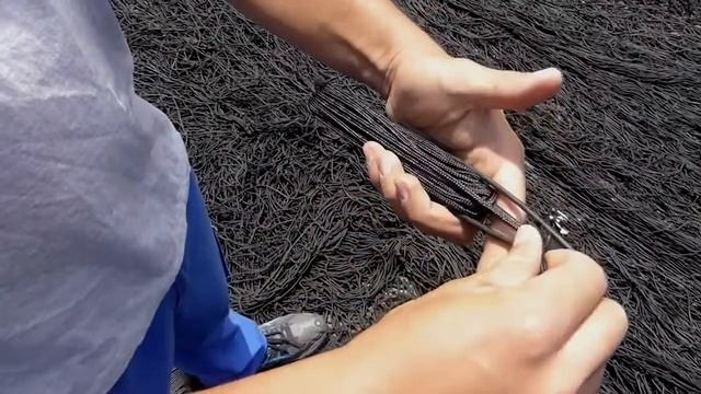 Биоразлагаемая рыболовная сеть поможет предотвратить смерть млекопитающих смотреть онлайн