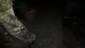 Толстолобик горячего копчения