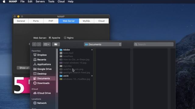 Configure MAMP on MacOS for Your WordPress Website - First Step to Start Your Website смотреть онлайн