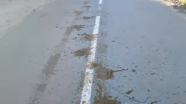 проблемы в г.Сельцо Брянской обл. смотреть онлайн