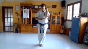 Kata Video Challenge 07 kyokushin Sakamoto