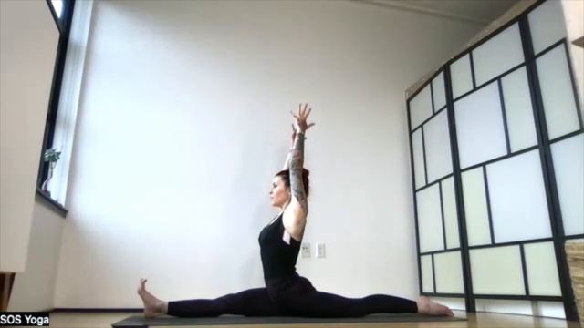 Science Of Self Master Class Sequence With Heather Ellis