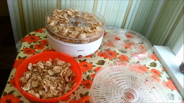 Строительные Вдохновения