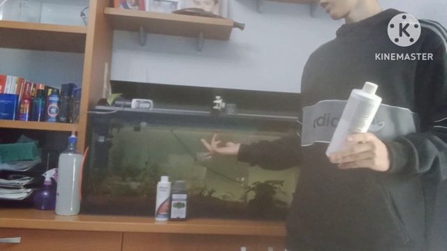 Que utilizo para dejar así las plantas ? смотреть онлайн