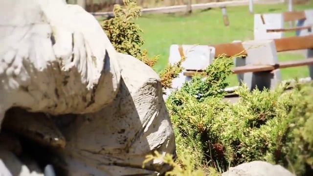 Лагерь "Эрудит" - О лагере. Дружба в Лагере "Эрудит" смотреть онлайн