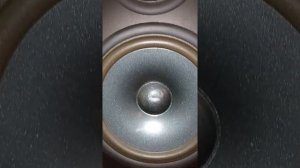 Колонки JBL TLX - 2