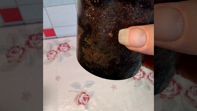 #078 Лучшая подкормка для цветения глоксинии/кристаллон смотреть онлайн