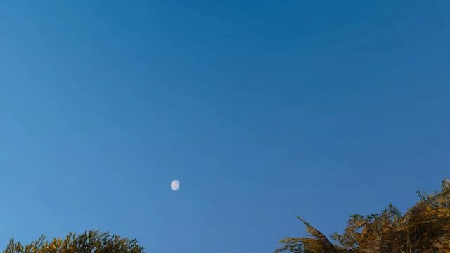 Король и Шут - Мотоцикл смотреть онлайн