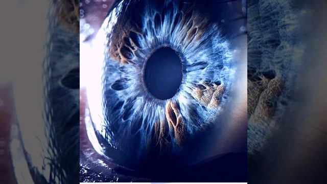 Кир Булычев. Глаз. Фантастический рассказ. смотреть онлайн