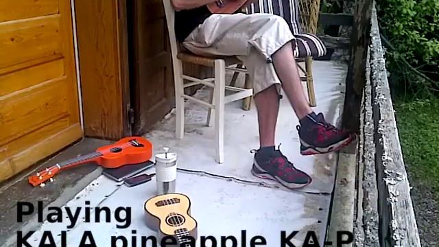 sound test between Makala Dolphin and Kala Pineapple KA-P