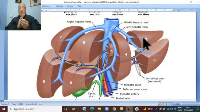 Anatomy GIT Module in English ( Liver, part 4 ) , by Dr, Wahdan смотреть онлайн