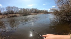 Рыбалка на спиннинг перед запретом 2020 на реке Упа в Тульской области