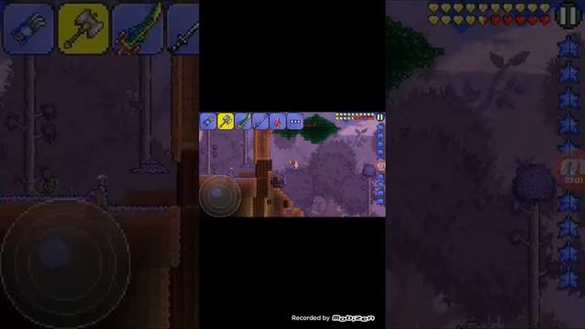 Zloi_Fiksik террария обзор на молот паладина смотреть онлайн