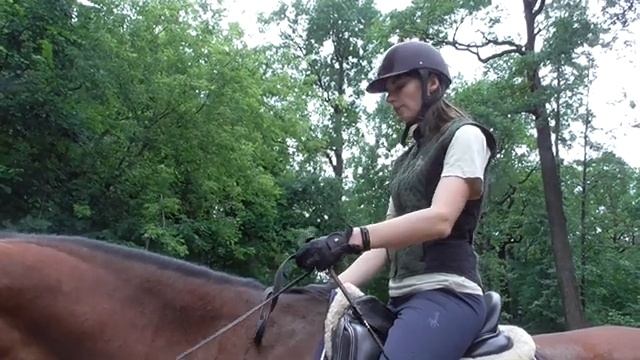 Как согнуть лошадь на вольту. Посадка всадника. смотреть онлайн