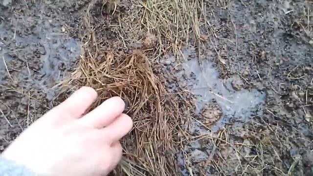 Наша дача результат использования мульчи смотреть онлайн