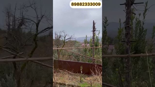 Земельный участок в Сочи, один из лучших предложении.|Агентство Недвижимости Дом в Сочи|16+|81