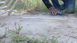 Creative DIY Quail Trap Using Small Wood _ How To Make Bird Trap Working 100%