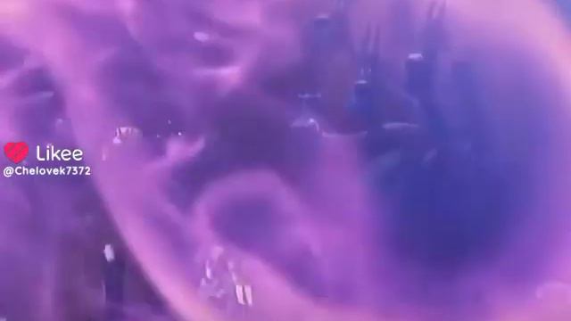 чтобы не было чего-то не смотреть онлайн