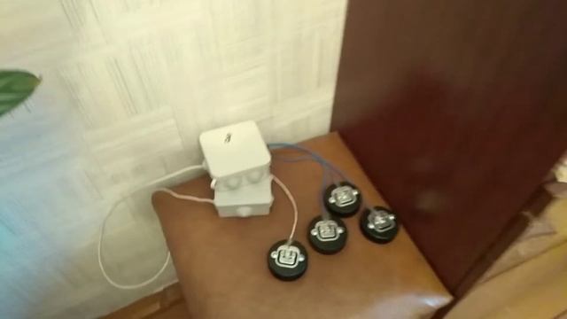 О пасечных весах. смотреть онлайн