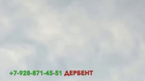 Продаются Бакинские широкохвостые голуби в Дербенте! +7 961 468 46 66