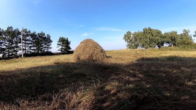 Сенокос по старинке Часть первая смотреть онлайн