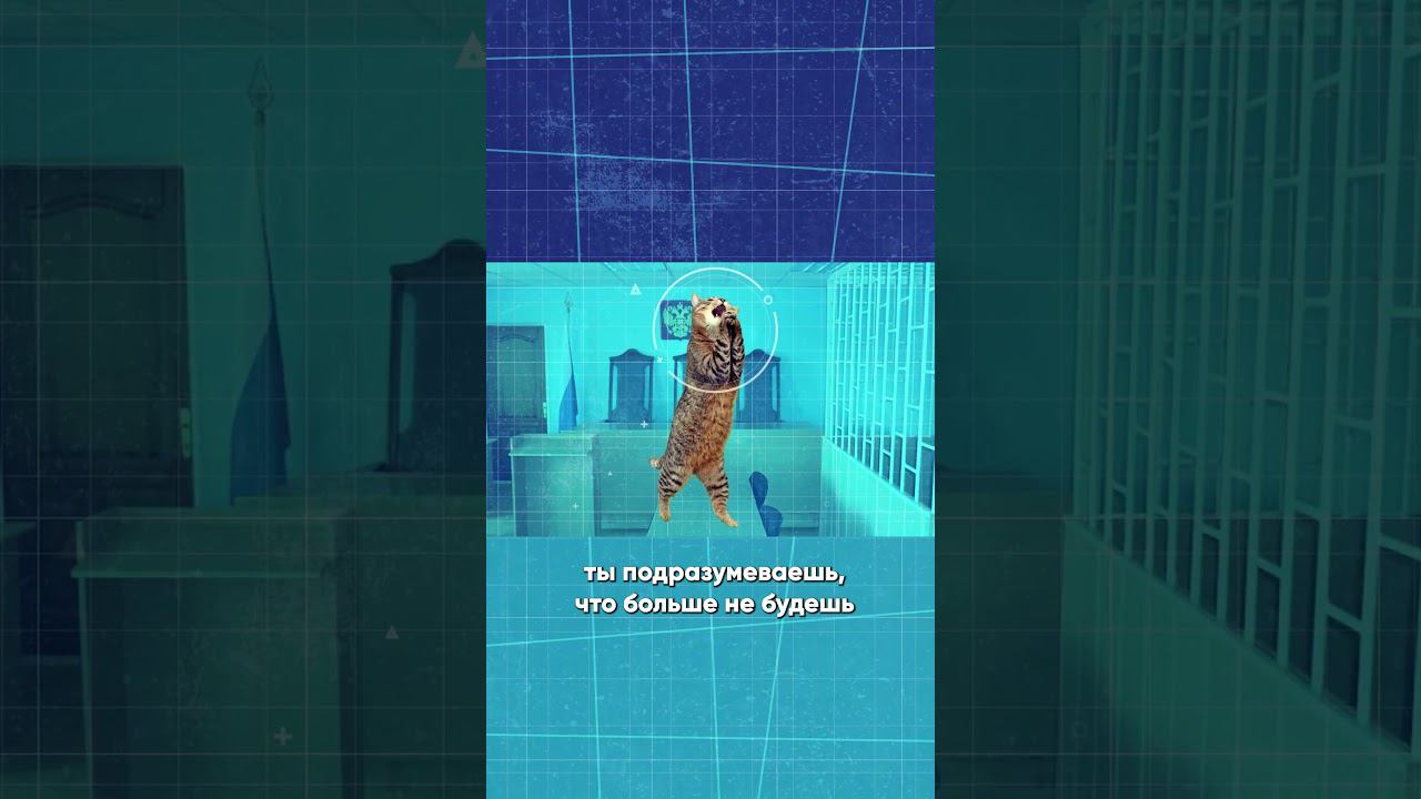 Мы полностью оправданы! смотреть онлайн