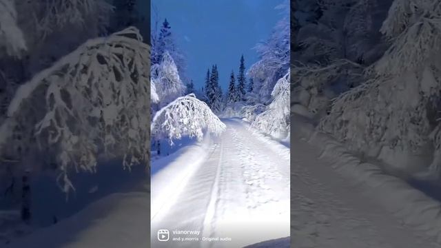 Зимняя сказка ?, волшебная дорога ?в Норвегии ??, по которой мы проходим. #norway #тур #туризм смотреть онлайн