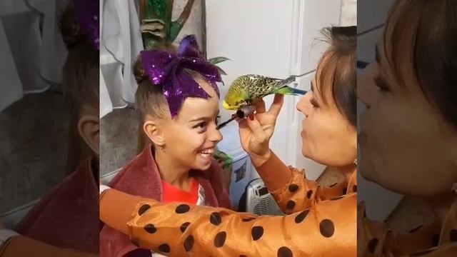 Попугай Кеша стилист. смотреть онлайн