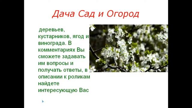 О канале #Дача #Сад и #Огород смотреть онлайн
