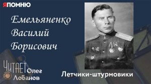 Емельяненко Василий Борисович. Проект "Я помню" Артема Драбкина. Летчики-штурмовики.