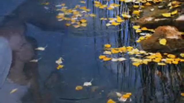 Ждёт она меня ! смотреть онлайн