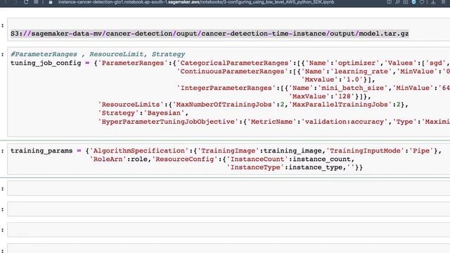 Amazon Sagemaker 28 : S3Model Artifacts & Configuring Tuning job @manralai смотреть онлайн