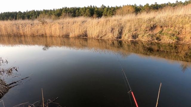 Спиннинг Lucky John Vanrex Finesse Game – голавлевая «палочка» и лайтовый универсал смотреть онлайн