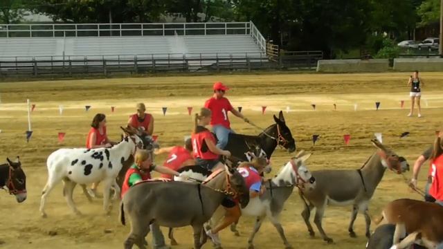 DONKEY RACE 1 7/7/10 смотреть онлайн