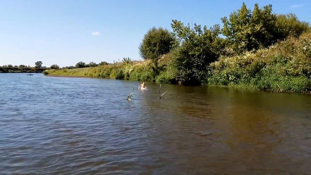 Айк из Пензы, купание красного.... сибу ину смотреть онлайн